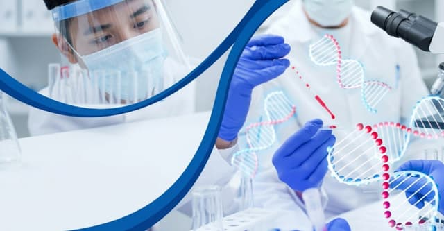 Gen Thalassemia là gì? Biểu hiện và cách phát hiện gen Thalassemia