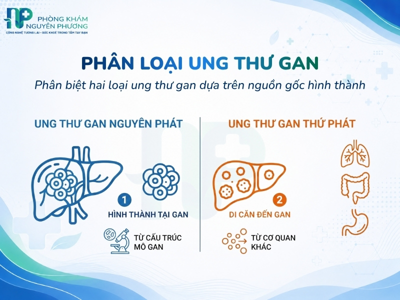 Phân biệt ung thư gan nguyên phát và thứ phát dựa trên nguồn gốc tế bào