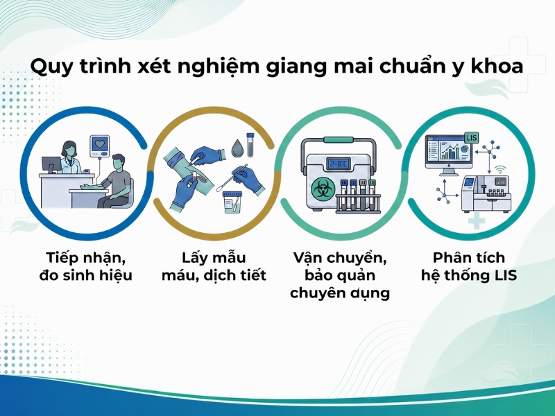 Quy trình 4 bước lấy mẫu xét nghiệm giang mai chuẩn y khoa