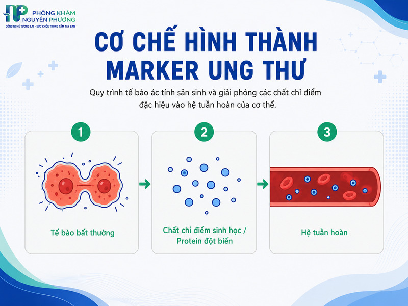 Sơ đồ mô tả cách tế bào ung thư giải phóng các chất chỉ điểm sinh học vào máu