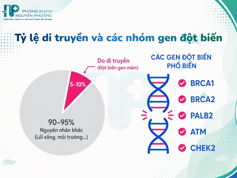 Yếu tố di truyền chiếm tỷ lệ nhỏ trong các ca mắc ung thư vú nhưng mang nguy cơ cao