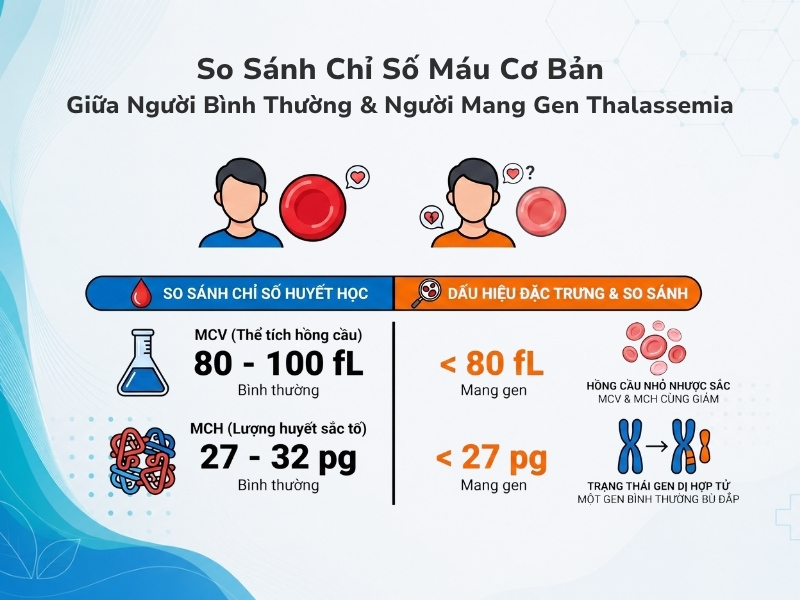 So sánh chỉ số MCV và MCH giữa người bình thường và người mang gen