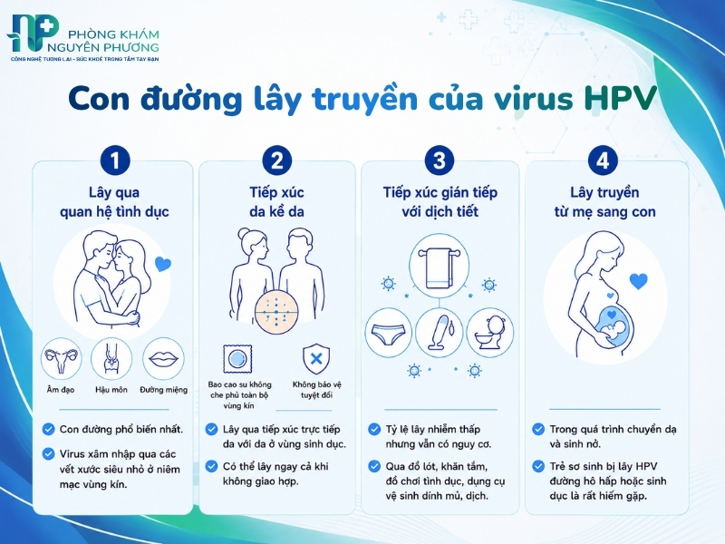 Các hình thức tiếp xúc trực tiếp và gián tiếp tạo điều kiện cho virus HPV lan truyền