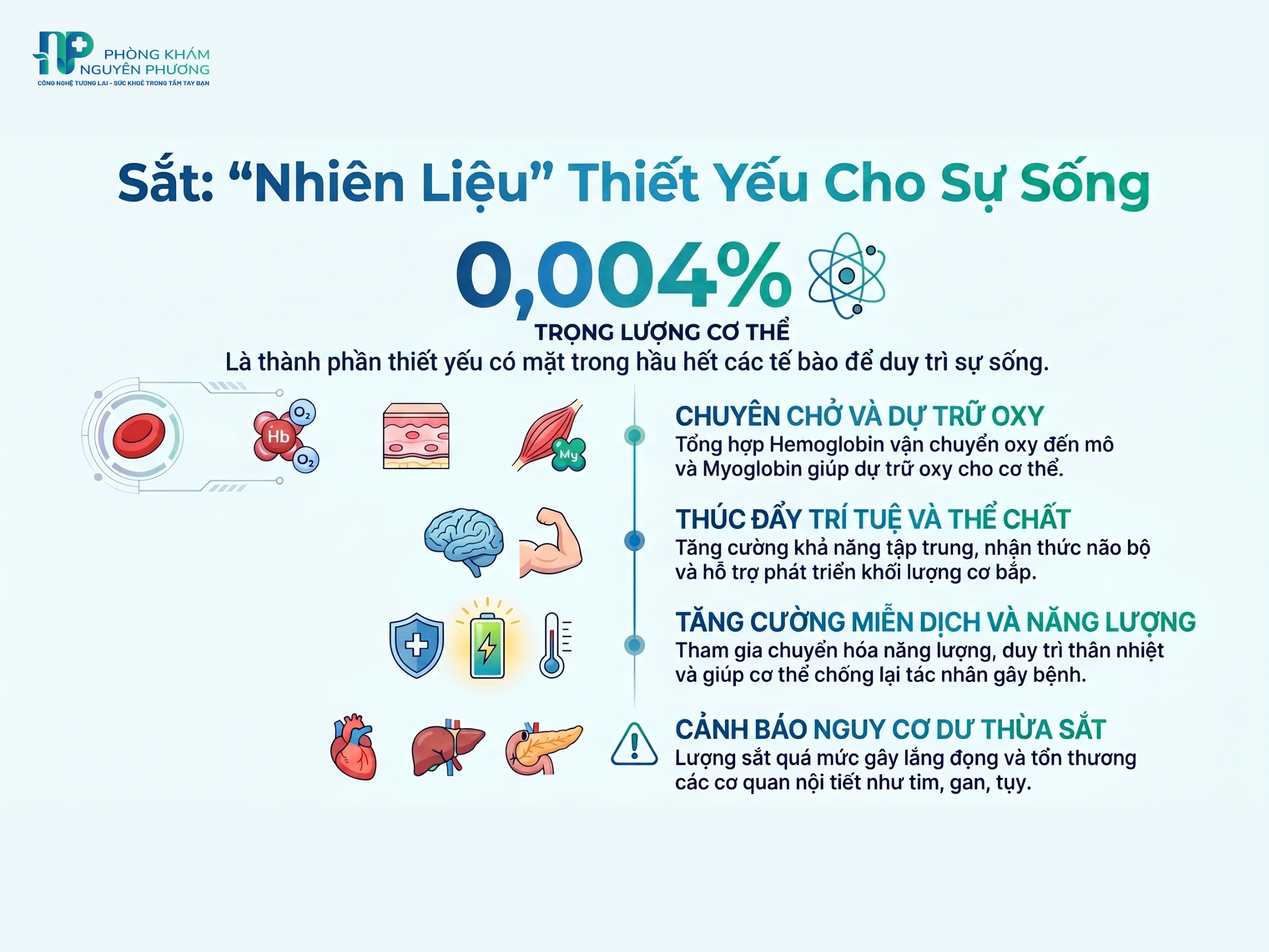 Sắt đóng vai trò thiết yếu trong quá trình dự trữ và vận chuyển oxy