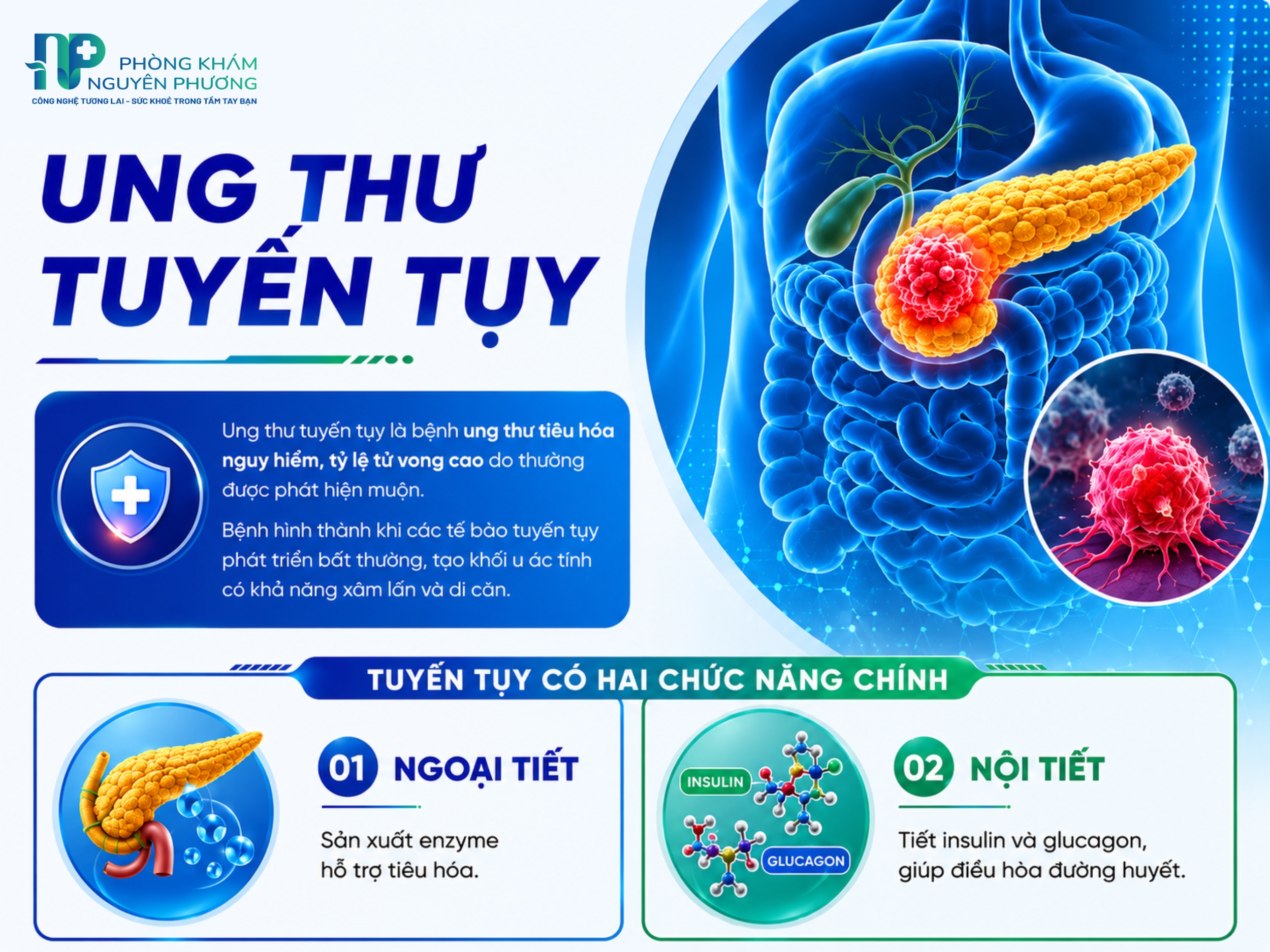 Ung thư tuyến tụy là căn bệnh nguy hiểm với tỷ lệ tử vong cao