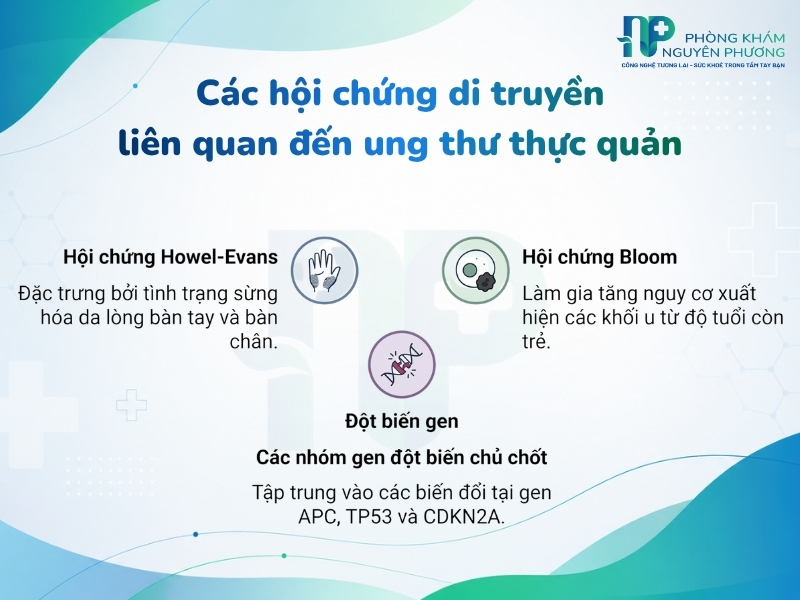 Sơ đồ tóm tắt các hội chứng và gen đột biến làm tăng nguy cơ mắc bệnh
