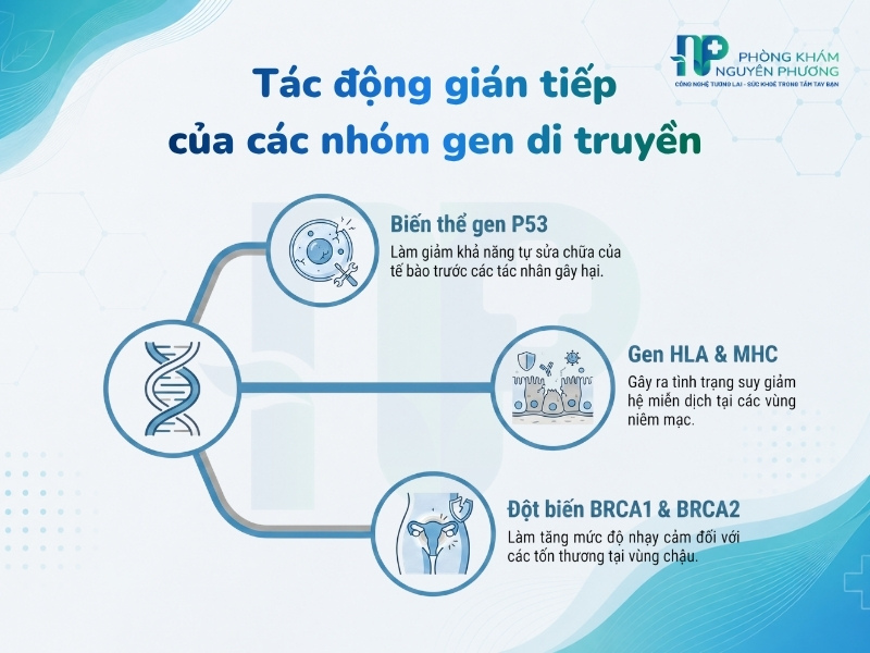 Cơ chế ảnh hưởng của các biến thể gen đối với nguy cơ mắc bệnh