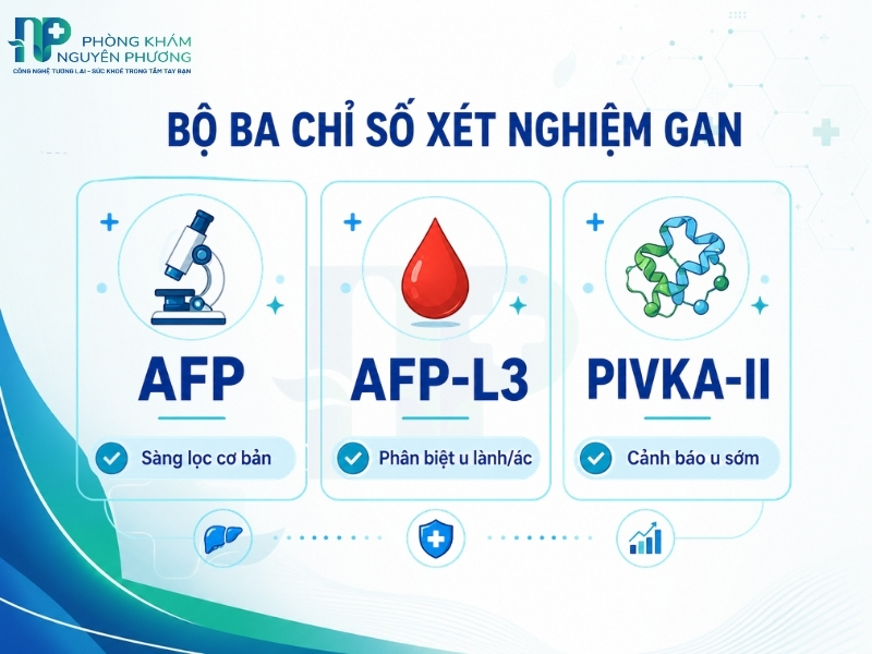 Sự kết hợp giữa AFP, AFP-L3 và PIVKA-II giúp tối ưu hiệu quả sàng lọc ung thư gan
