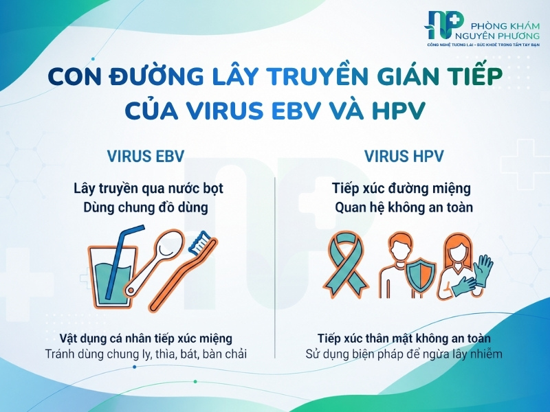 Cơ chế lây nhiễm chéo qua tiếp xúc nước bọt và quan hệ tình dục không an toàn
