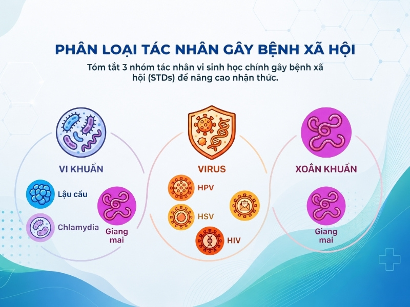Các con đường lây truyền bệnh xã hội phổ biến cần lưu ý để phòng ngừa