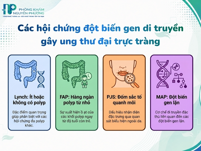 Tóm tắt các đột biến gen và đặc điểm lâm sàng giúp nhận biết sớm nguy cơ di truyền.