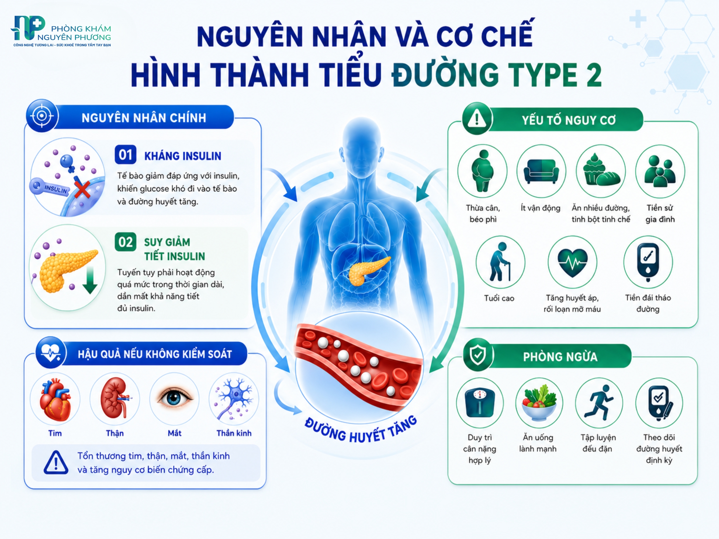 Nguyên nhân, yếu tố nguy cơ và cơ chế dẫn đến tiểu đường type 2