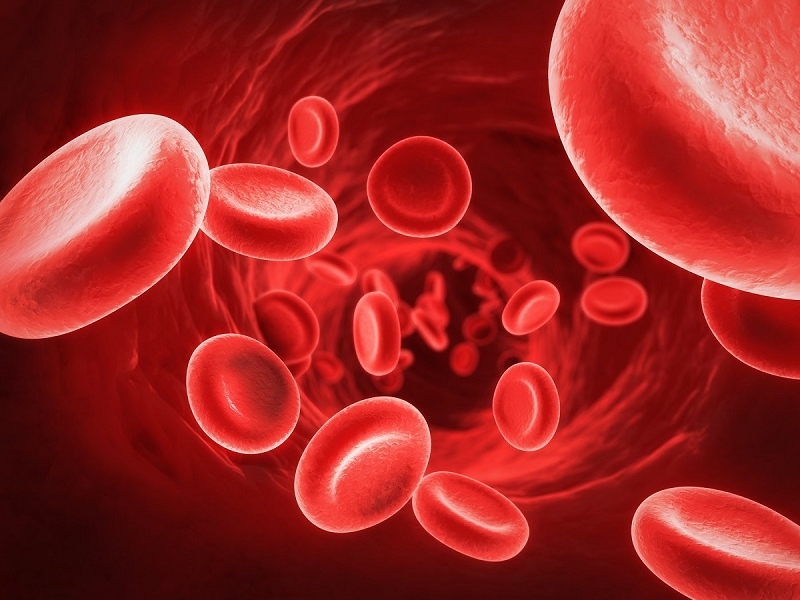 Xét nghiệm điện di huyết sắc tố là bước quan trọng trong chẩn đoán Thalassemia