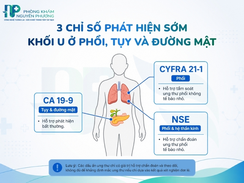 Các dấu ấn đặc hiệu phát hiện sớm khối u ở phổi, tụy và đường mật