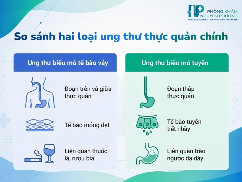 Sự khác biệt về vị trí, nguồn gốc tế bào và các yếu tố liên quan của bệnh