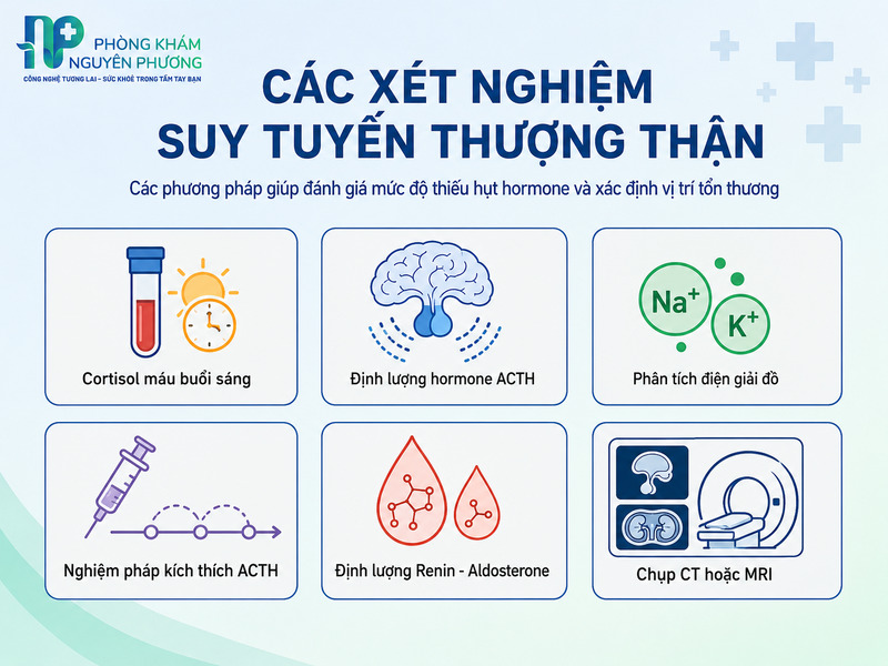 Các xét nghiệm suy tuyến thượng thận.