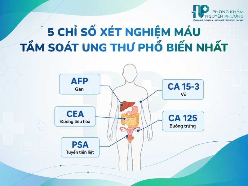 Tóm tắt các chỉ số AFP, CEA, PSA, CA 125, CA 15-3 và cơ quan tương ứng
