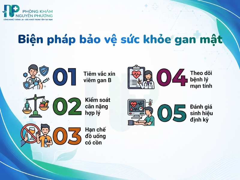 Biện pháp chủ động bảo vệ chức năng gan và phòng ngừa tổn thương tế bào
