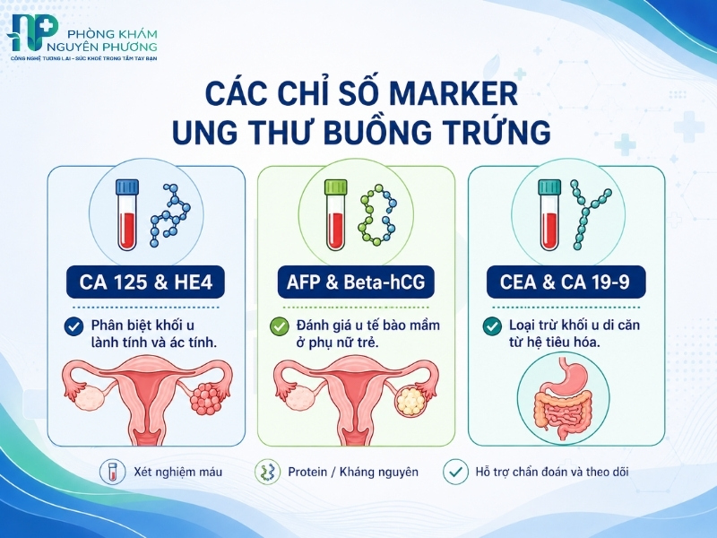 Bản chất và ý nghĩa lâm sàng của các chỉ số marker ung thư buồng trứng phổ biến